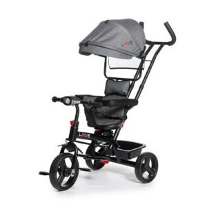 Triciclo completo giro 360° Gris