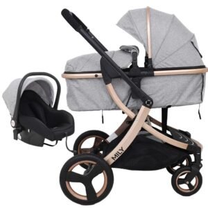Coche Travel System 3 en 1 Mily Gris con Dorado Avanti